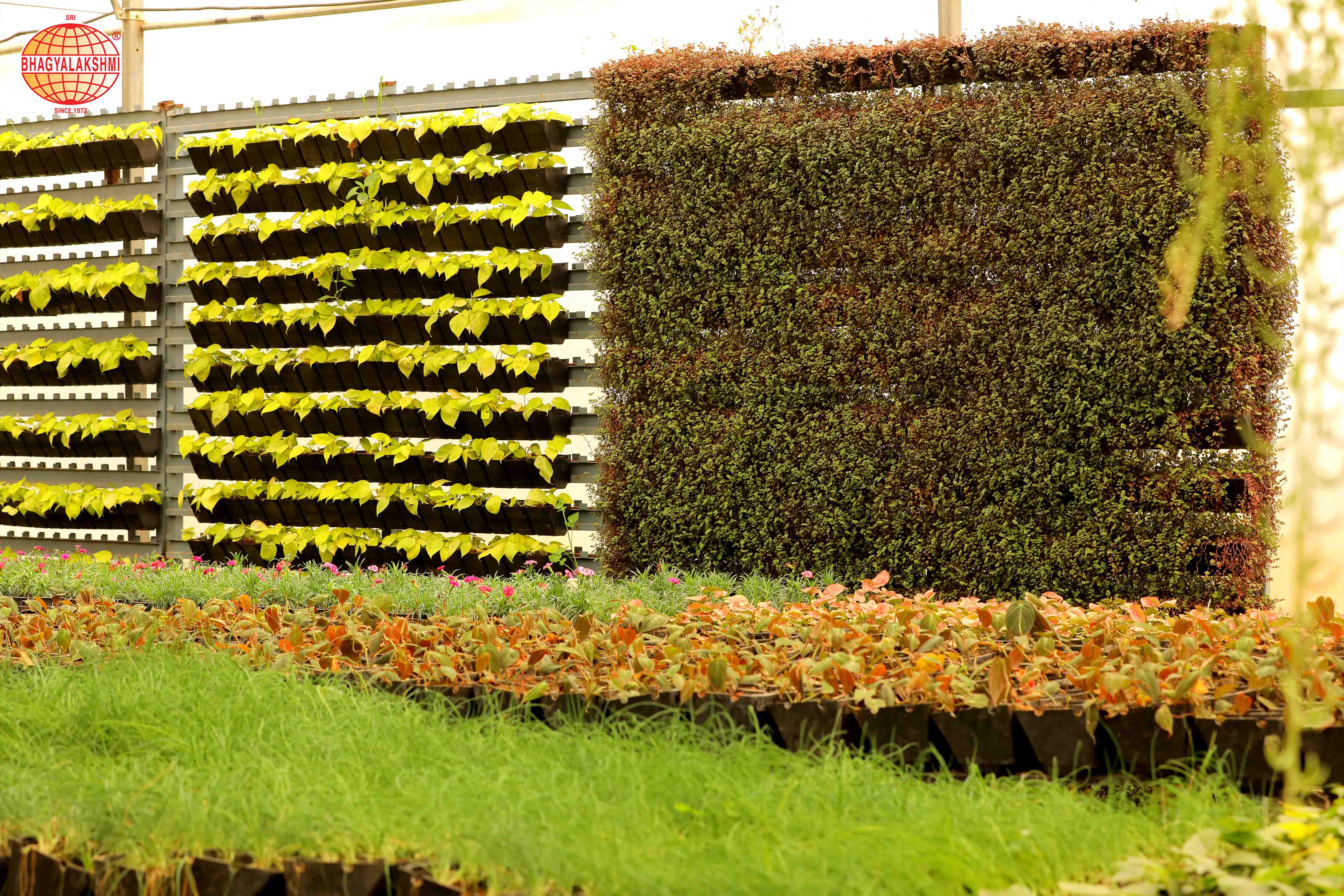 Sbl Farms Green walls and Living walls, Vertical Garden, Bio Curtains